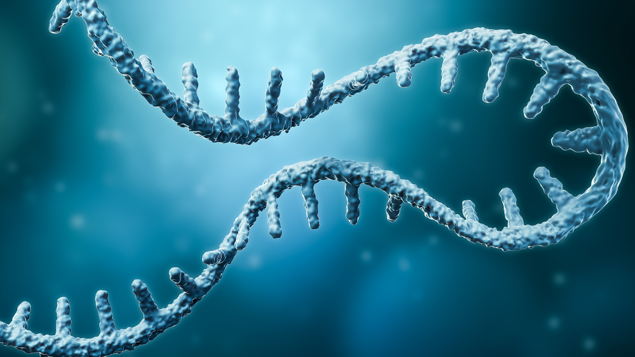 Messenger RNA, Lipid Nanoparticle Delivery and RNA Therapies