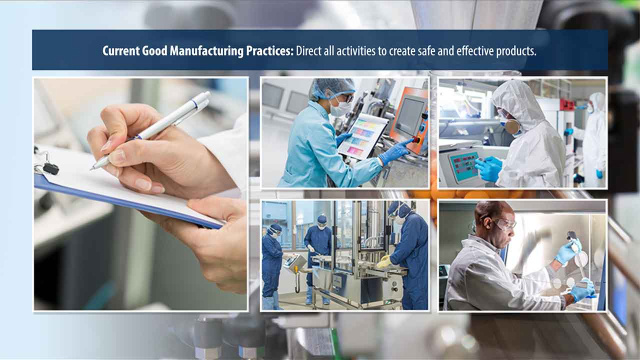 Current Good Manufacturing Practices (CGMP)