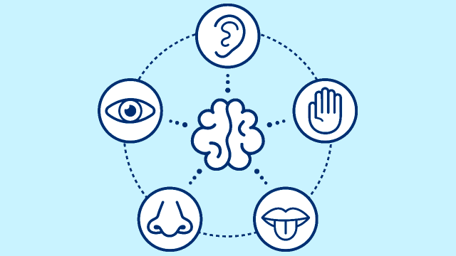 Introduction to Sensory Science